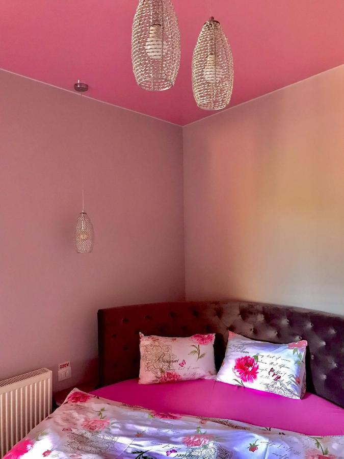 Sweet Pink By Miro Apartment Sinaia Exterior photo